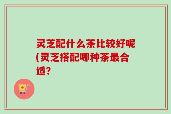 灵芝配什么茶比较好呢(灵芝搭配哪种茶合适？