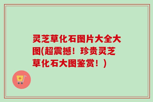 灵芝草化石图片大全大图(超震撼！珍贵灵芝草化石大图鉴赏！)