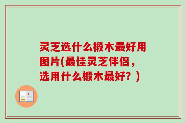 灵芝选什么椴木好用图片(佳灵芝伴侣,选用什么椴木好?) 灵芝选什么椴木好用图片(佳灵芝伴侣,选用什么椴木好?)