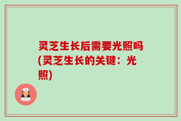 灵芝生长后需要光照吗(灵芝生长的关键:光照) 灵芝生长后需要光照吗(灵芝生长的关键:光照)