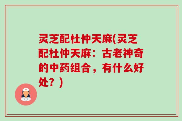 灵芝配杜仲天麻(灵芝配杜仲天麻：古老神奇的组合，有什么好处？)