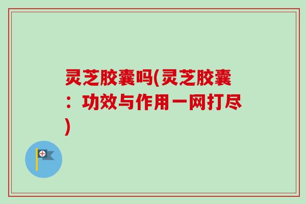 灵芝胶囊吗(灵芝胶囊:功效与作用一网打尽) 灵芝胶囊吗(灵芝胶囊:功效与作用一网打尽)