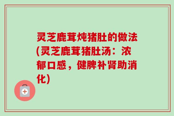 灵芝鹿茸炖猪肚的做法(灵芝鹿茸猪肚汤:浓郁口感,健脾补助消化) 灵芝鹿茸炖猪肚的做法(灵芝鹿茸猪肚汤:浓郁口感,健脾补助消化)