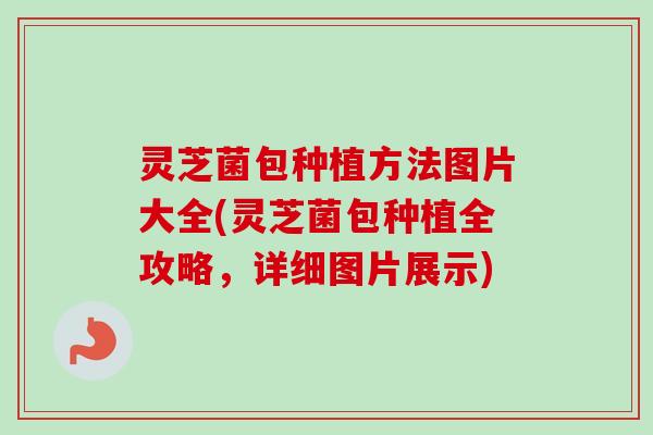 灵芝菌包种植方法图片大全(灵芝菌包种植全攻略,详细图片展示) 灵芝菌包种植方法图片大全(灵芝菌包种植全攻略,详细图片展示)