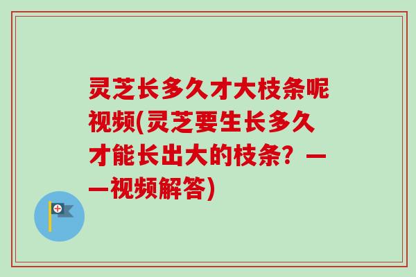 灵芝长多久才大枝条呢视频(灵芝要生长多久才能长出大的枝条?——视频解答) 灵芝长多久才大枝条呢视频(灵芝要生长多久才能长出大的枝条?——视频解答)