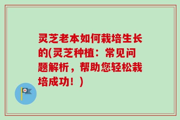 灵芝老本如何栽培生长的(灵芝种植：常见问题解析，帮助您轻松栽培成功！)