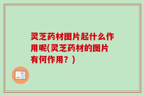 灵芝药材图片起什么作用呢(灵芝药材的图片有何作用?) 灵芝药材图片起什么作用呢(灵芝药材的图片有何作用?)