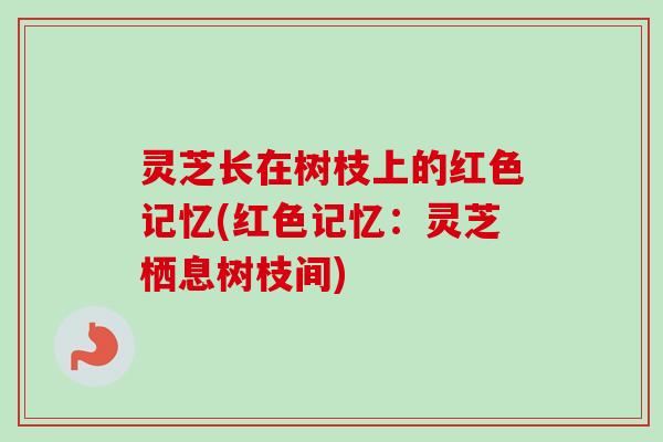 灵芝长在树枝上的红色记忆(红色记忆:灵芝栖息树枝间) 灵芝长在树枝上的红色记忆(红色记忆:灵芝栖息树枝间)