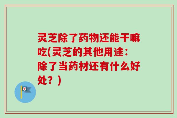 灵芝除了还能干嘛吃(灵芝的其他用途：除了当药材还有什么好处？)