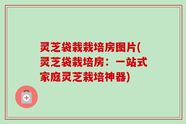 灵芝袋栽栽培房图片(灵芝袋栽培房：一站式家庭灵芝栽培神器)