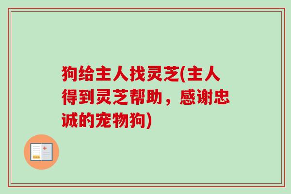 狗给主人找灵芝(主人得到灵芝帮助,感谢忠诚的宠物狗) 狗给主人找灵芝(主人得到灵芝帮助,感谢忠诚的宠物狗)