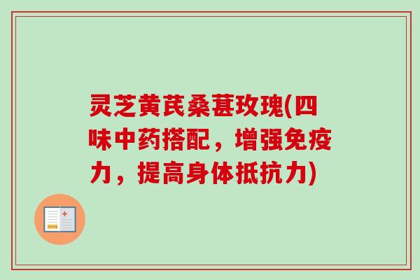 灵芝黄芪桑葚玫瑰(四味搭配，增强免疫力，提高身体抵抗力)