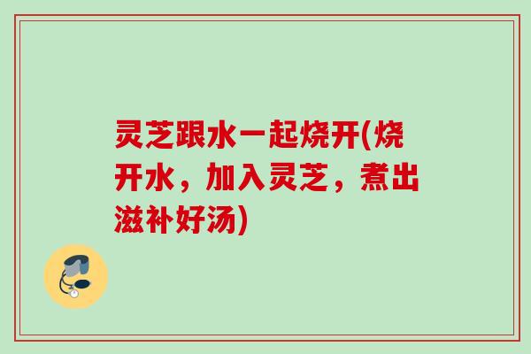 灵芝跟水一起烧开(烧开水，加入灵芝，煮出滋补好汤)