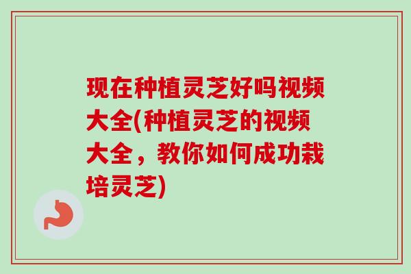 现在种植灵芝好吗视频大全(种植灵芝的视频大全,教你如何成功栽培灵芝) 现在种植灵芝好吗视频大全(种植灵芝的视频大全,教你如何成功栽培灵芝)