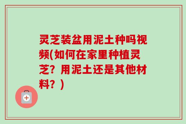 灵芝装盆用泥土种吗视频(如何在家里种植灵芝?用泥土还是其他材料?) 灵芝装盆用泥土种吗视频(如何在家里种植灵芝?用泥土还是其他材料?)