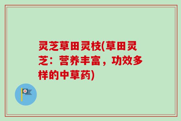 灵芝草田灵枝(草田灵芝:营养丰富,功效多样的中草药) 灵芝草田灵枝(草田灵芝:营养丰富,功效多样的中草药)
