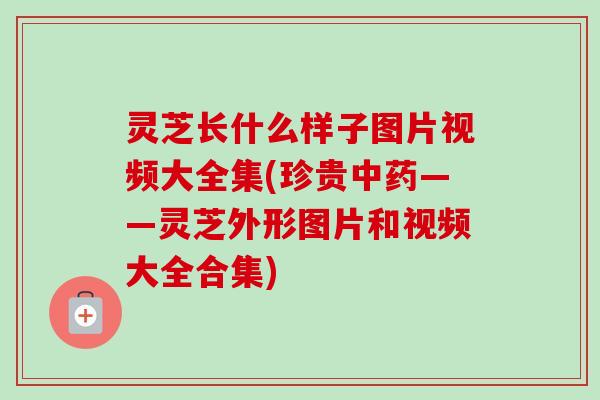 灵芝长什么样子图片视频大全集(珍贵——灵芝外形图片和视频大全合集)