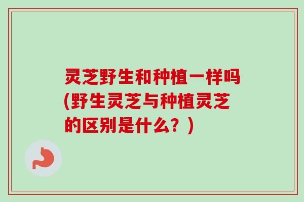 灵芝野生和种植一样吗(野生灵芝与种植灵芝的区别是什么?) 灵芝野生和种植一样吗(野生灵芝与种植灵芝的区别是什么?)