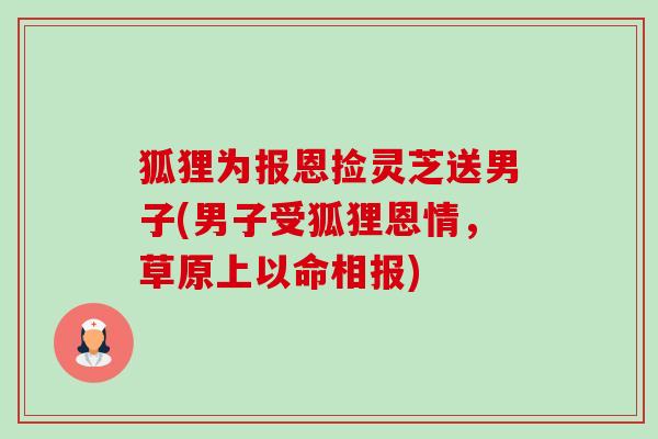 狐狸为报恩捡灵芝送男子(男子受狐狸恩情,草原上以命相报) 狐狸为报恩捡灵芝送男子(男子受狐狸恩情,草原上以命相报)