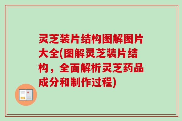 灵芝装片结构图解图片大全(图解灵芝装片结构，全面解析灵芝药品成分和制作过程)