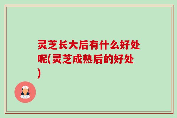 灵芝长大后有什么好处呢(灵芝成熟后的好处) 灵芝长大后有什么好处呢(灵芝成熟后的好处)