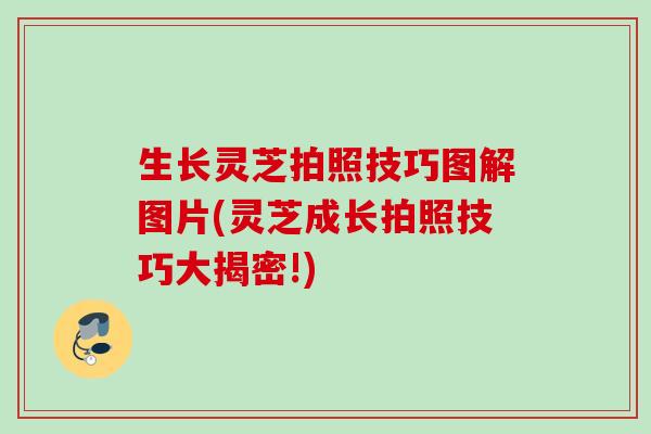 生长灵芝拍照技巧图解图片(灵芝成长拍照技巧大揭密!) 生长灵芝拍照技巧图解图片(灵芝成长拍照技巧大揭密!)