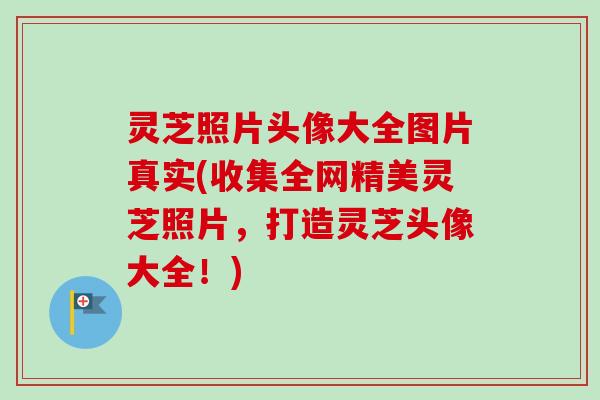 灵芝照片头像大全图片真实(收集全网精美灵芝照片,打造灵芝头像大全!) 灵芝照片头像大全图片真实(收集全网精美灵芝照片,打造灵芝头像大全!)