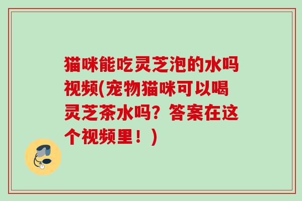 猫咪能吃灵芝泡的水吗视频(宠物猫咪可以喝灵芝茶水吗？答案在这个视频里！)