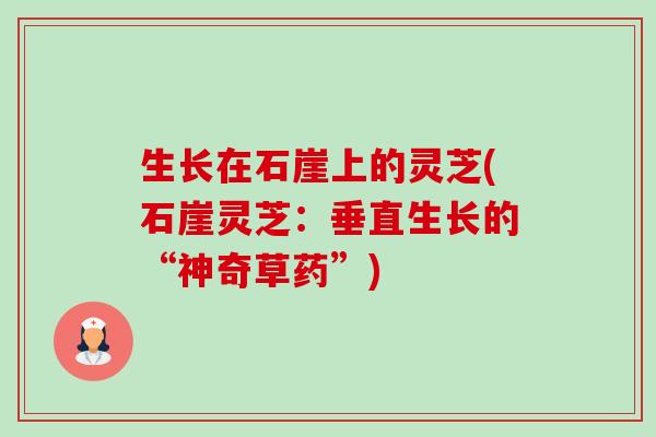 生长在石崖上的灵芝(石崖灵芝:垂直生长的“神奇草药”) 生长在石崖上的灵芝(石崖灵芝:垂直生长的“神奇草药”)