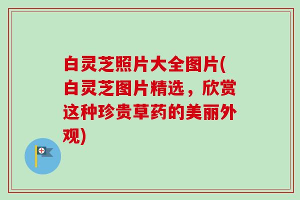 白灵芝照片大全图片(白灵芝图片精选，欣赏这种珍贵草药的美丽外观)
