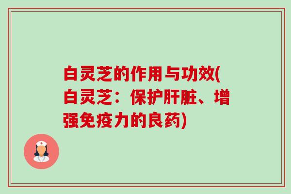 白灵芝的作用与功效(白灵芝:保护、增强免疫力的良药) 白灵芝的作用与功效(白灵芝:保护、增强免疫力的良药)