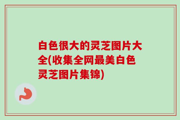 白色很大的灵芝图片大全(收集全网美白色灵芝图片集锦) 白色很大的灵芝图片大全(收集全网美白色灵芝图片集锦)