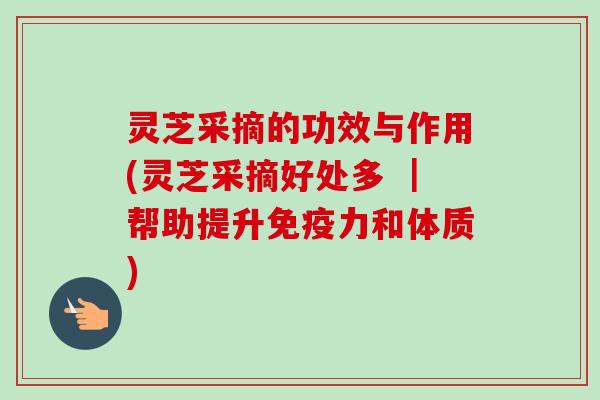灵芝采摘的功效与作用(灵芝采摘好处多 ｜帮助提升免疫力和体质)
