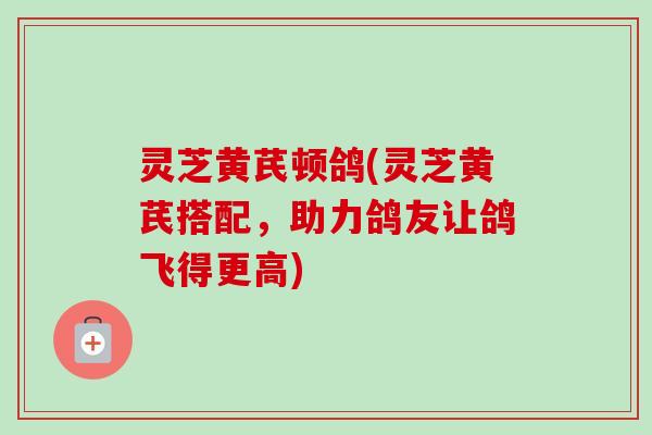 灵芝黄芪顿鸽(灵芝黄芪搭配,助力鸽友让鸽飞得更高) 灵芝黄芪顿鸽(灵芝黄芪搭配,助力鸽友让鸽飞得更高)