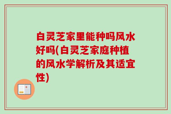 白灵芝家里能种吗风水好吗(白灵芝家庭种植的风水学解析及其适宜性) 白灵芝家里能种吗风水好吗(白灵芝家庭种植的风水学解析及其适宜性)