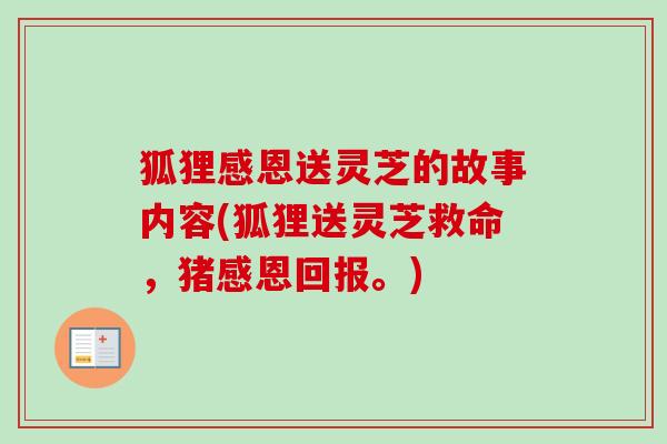 狐狸感恩送灵芝的故事内容(狐狸送灵芝救命，猪感恩回报。)