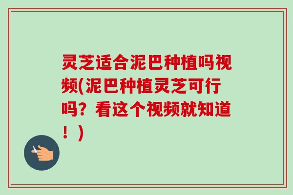 灵芝适合泥巴种植吗视频(泥巴种植灵芝可行吗？看这个视频就知道！)