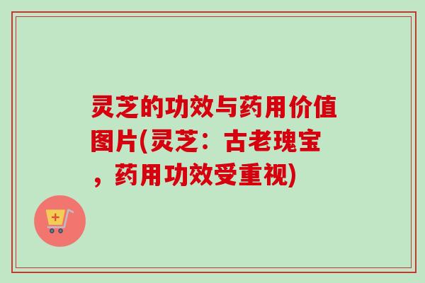 灵芝的功效与药用价值图片(灵芝：古老瑰宝，药用功效受重视)