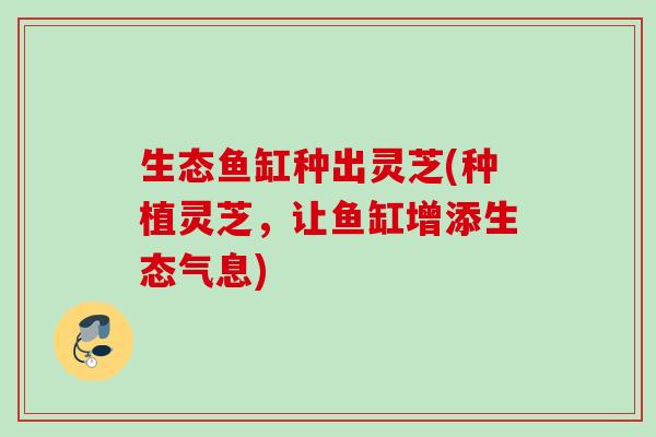 生态鱼缸种出灵芝(种植灵芝，让鱼缸增添生态气息)