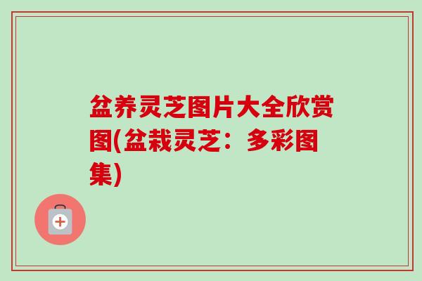盆养灵芝图片大全欣赏图(盆栽灵芝:多彩图集) 盆养灵芝图片大全欣赏图(盆栽灵芝:多彩图集)