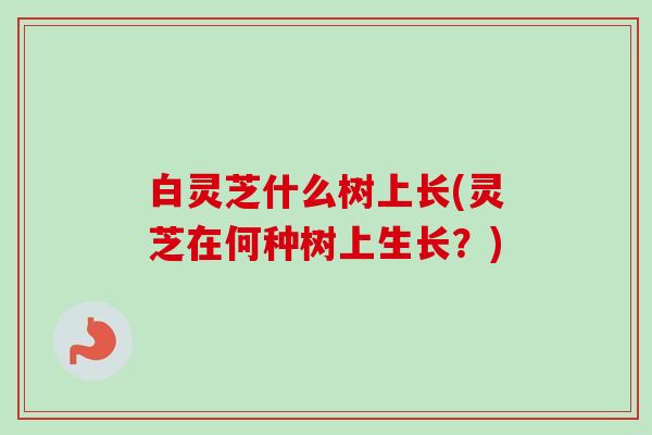 白灵芝什么树上长(灵芝在何种树上生长？)