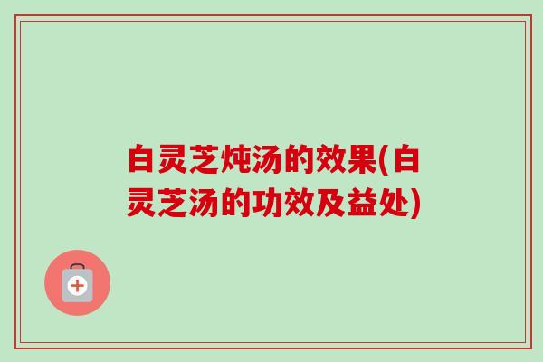 白灵芝炖汤的效果(白灵芝汤的功效及益处) 白灵芝炖汤的效果(白灵芝汤的功效及益处)