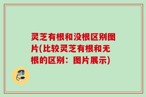 灵芝有根和没根区别图片(比较灵芝有根和无根的区别:图片展示) 灵芝有根和没根区别图片(比较灵芝有根和无根的区别:图片展示)