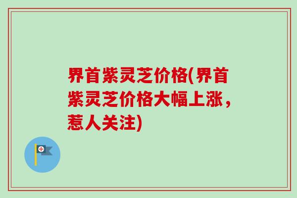 界首紫灵芝价格(界首紫灵芝价格大幅上涨,惹人关注) 界首紫灵芝价格(界首紫灵芝价格大幅上涨,惹人关注)
