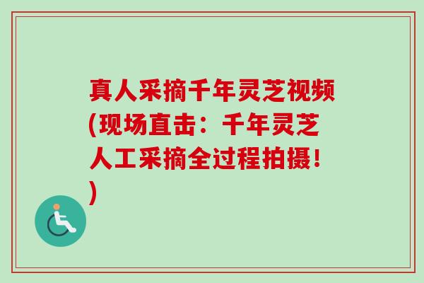 真人采摘千年灵芝视频(现场直击:千年灵芝人工采摘全过程拍摄!) 真人采摘千年灵芝视频(现场直击:千年灵芝人工采摘全过程拍摄!)