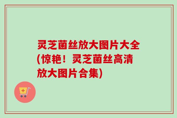灵芝菌丝放大图片大全(惊艳!灵芝菌丝高清放大图片合集) 灵芝菌丝放大图片大全(惊艳!灵芝菌丝高清放大图片合集)