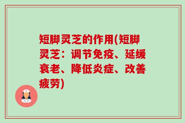 短脚灵芝的作用(短脚灵芝：调节免疫、延缓、降低、改善疲劳)