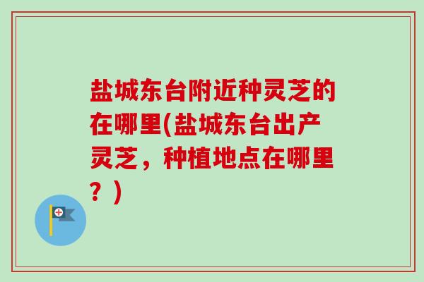 盐城东台附近种灵芝的在哪里(盐城东台出产灵芝,种植地点在哪里?) 盐城东台附近种灵芝的在哪里(盐城东台出产灵芝,种植地点在哪里?)
