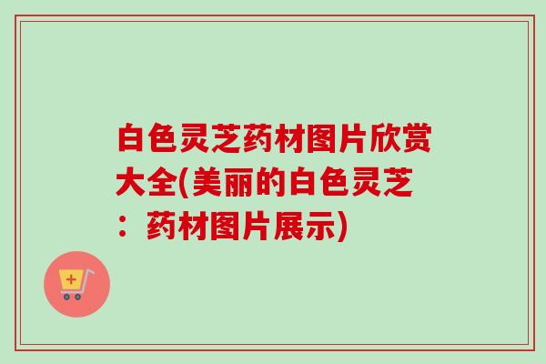 白色灵芝药材图片欣赏大全(美丽的白色灵芝：药材图片展示)