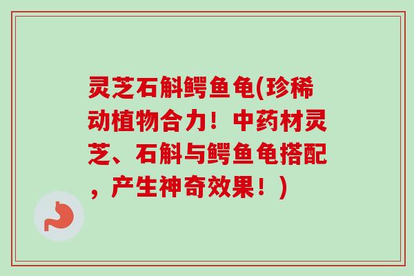 灵芝石斛鳄鱼龟(珍稀动植物合力!材灵芝、石斛与鳄鱼龟搭配,产生神奇效果!) 灵芝石斛鳄鱼龟(珍稀动植物合力!材灵芝、石斛与鳄鱼龟搭配,产生神奇效果!)